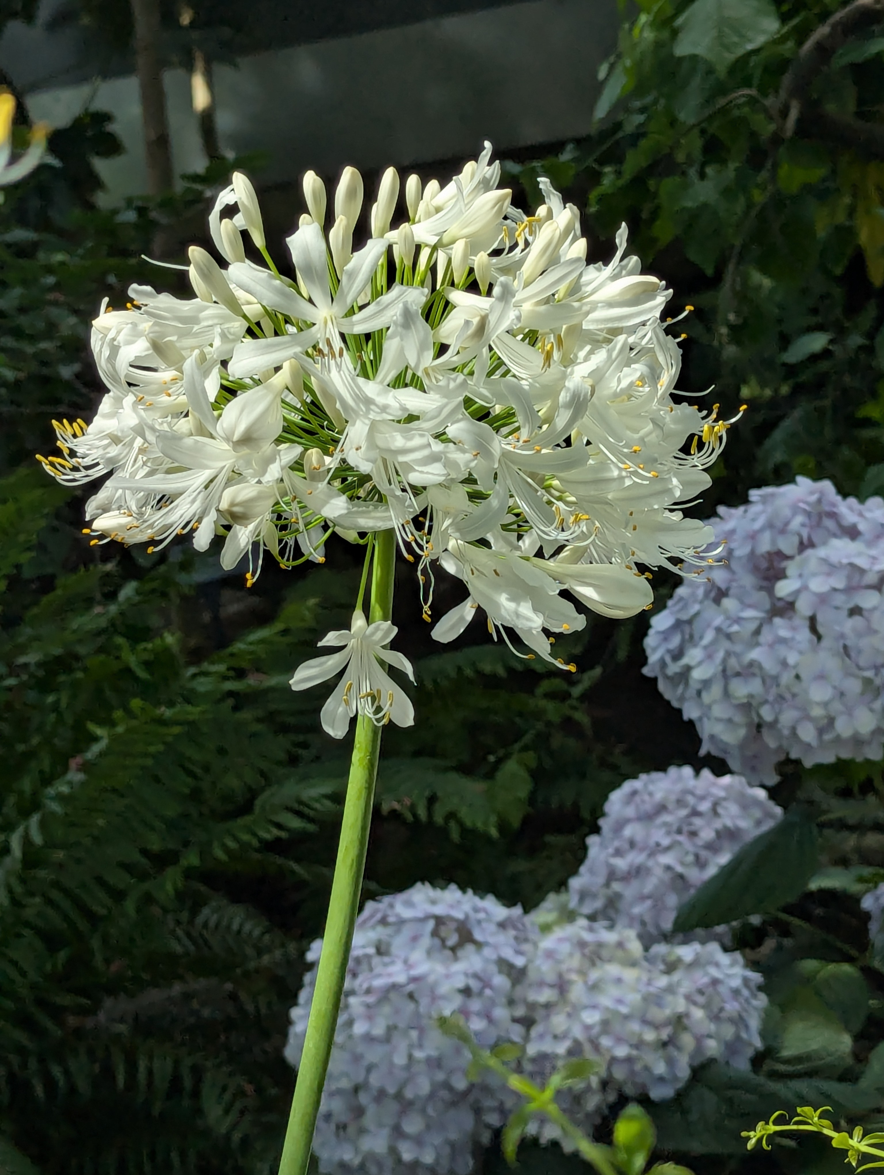 Birthday Trip to Canada, Edmonton, Pyramids, Muttart Observatory